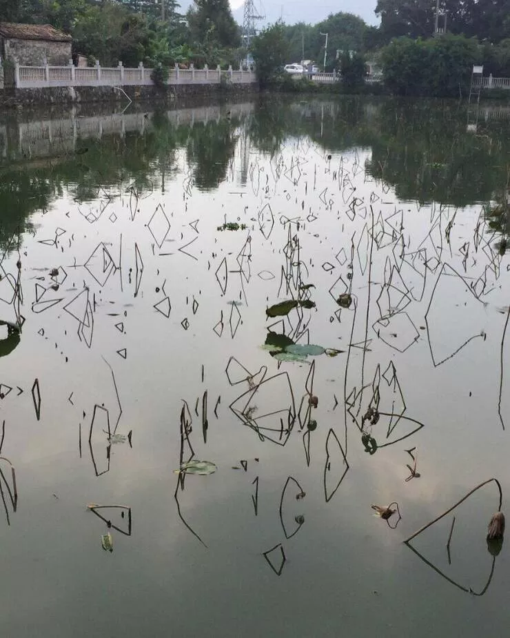 Intriguingly amusing photos a modest dose of entertainment - #20 Sticks' reflections create intriguing shapes