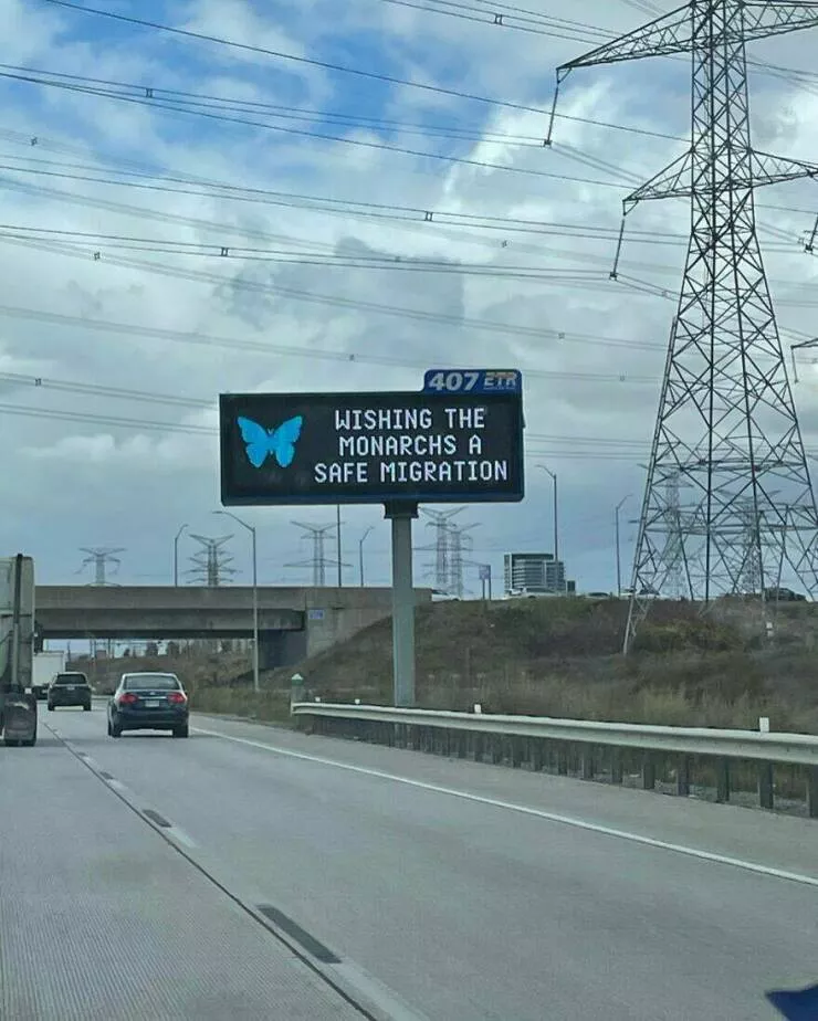 Intriguingly amusing photos a modest dose of entertainment - #24 A road sign wishes butterflies a safe migration south