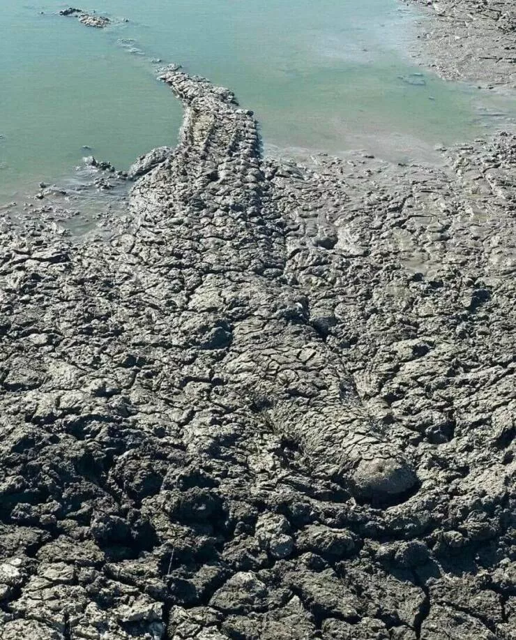 Photos offrant une touche modeste de divertissement et dintrigue - #26 Les crocodiles australiens au Queensland attendent dans la boue pendant des jours pendant la saison sèche pour se camoufler et attraper des proies