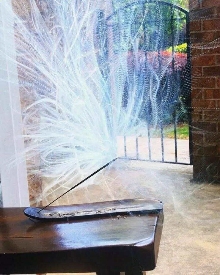 Intriguingly amusing photos a modest dose of entertainment - #30 A long exposure shot of incense