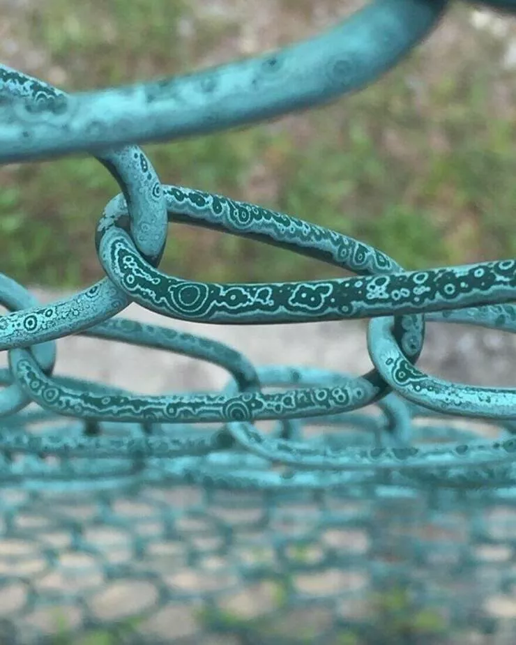 Photos offrant une touche modeste de divertissement et dintrigue - #39 La peinture délavée sur une clôture grillagée formant un motif de cercles