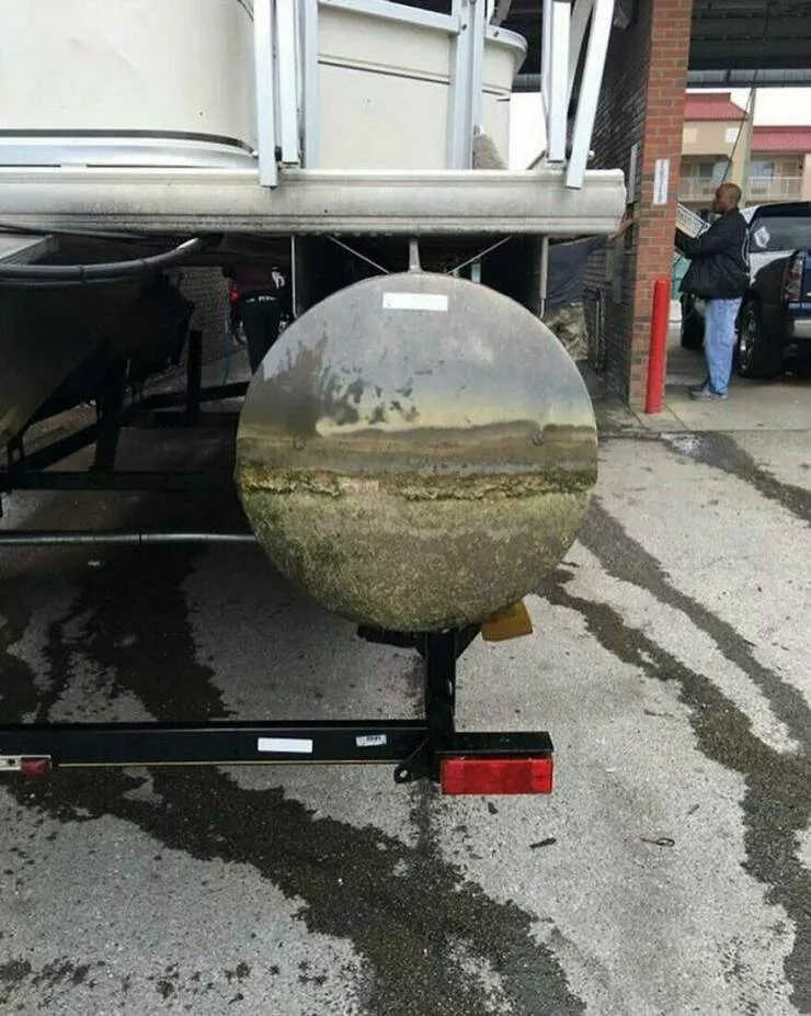 Photos offrant une touche modeste de divertissement et dintrigue - #44 Des algues sur un bateau ponton ressemblant à une peinture à l'huile