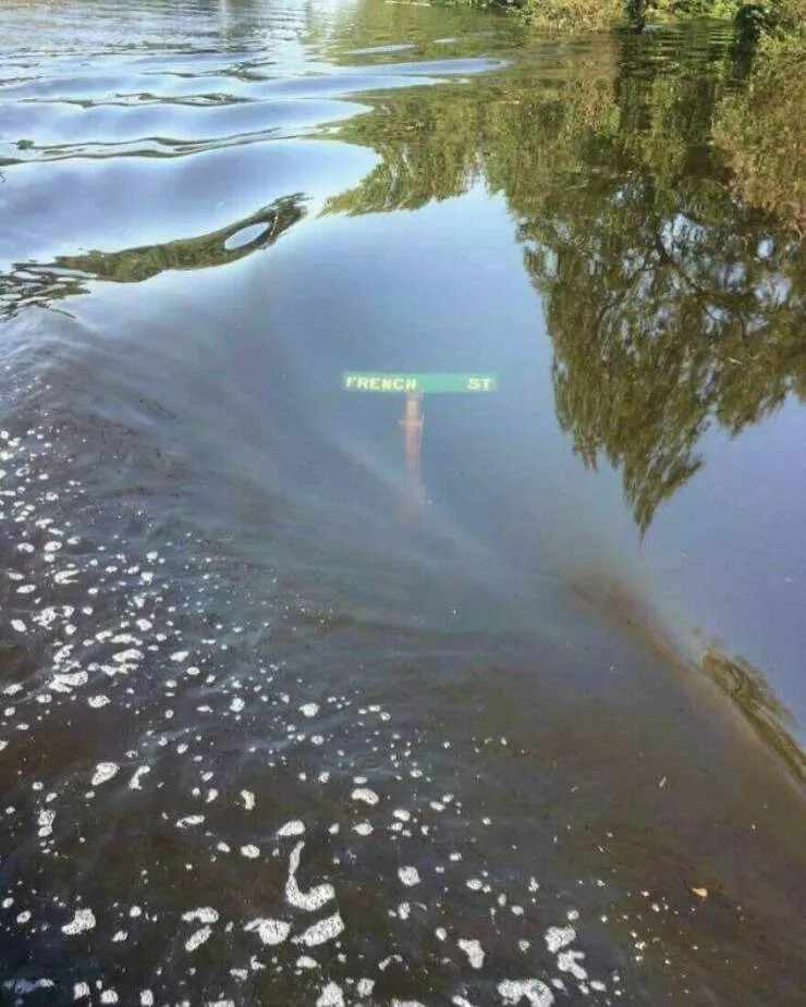 Photos offrant une touche modeste de divertissement et dintrigue - #49 L'eau pendant l'ouragan Harvey atteignant la hauteur des panneaux de signalisation