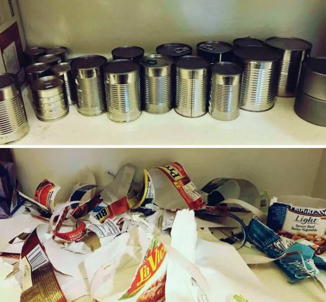 Navigating parenthood through rough patches - #11 My friend's kid did this to their pantry