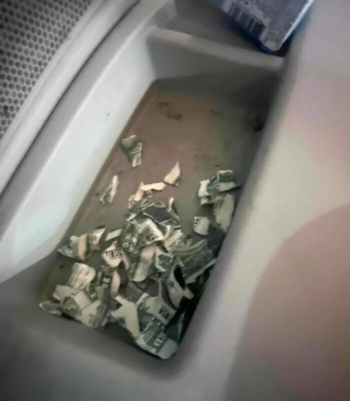 Navigating parenthood through rough patches - #27 Digging through the car for change to buy gas