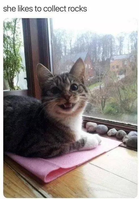 Picdump 850 - #22 