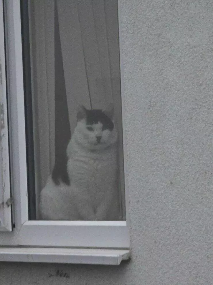 Picdump 850 - #26 
