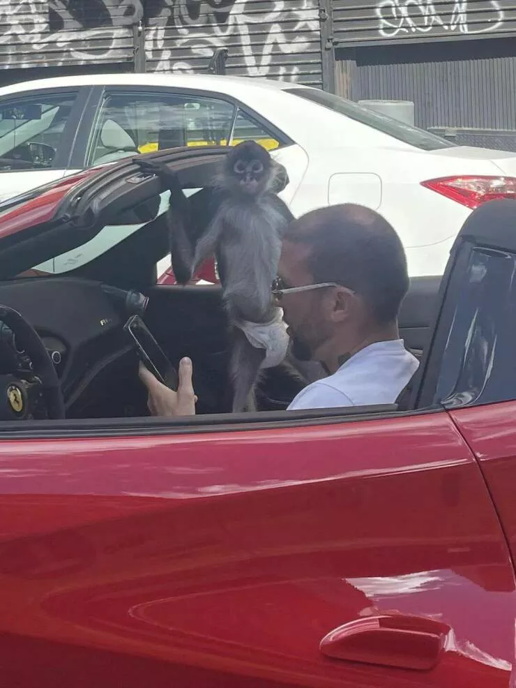 Picdump 852 - #60 