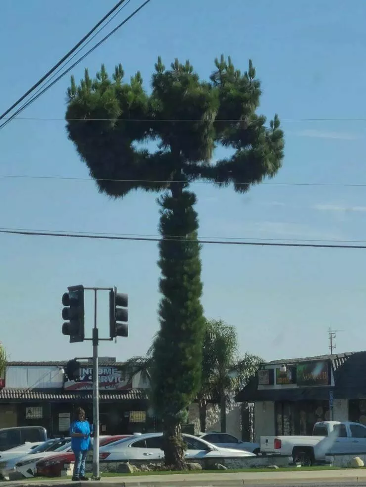 Picdump 853 - #26 