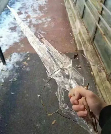 Picdump 853 - #27 