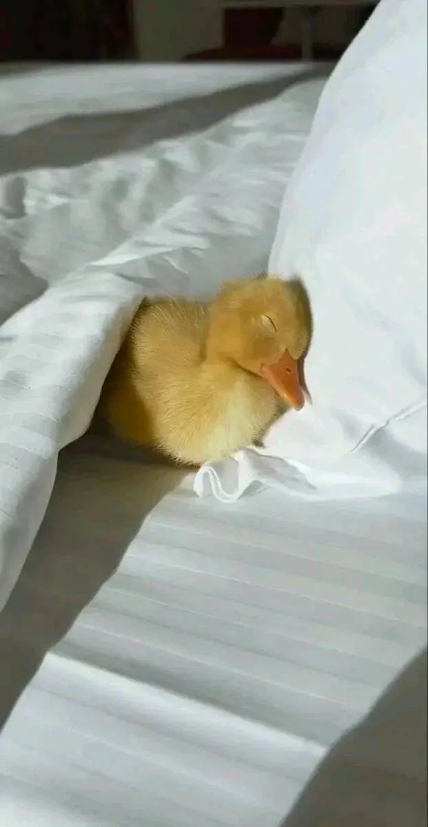 Picdump 853 - #7 