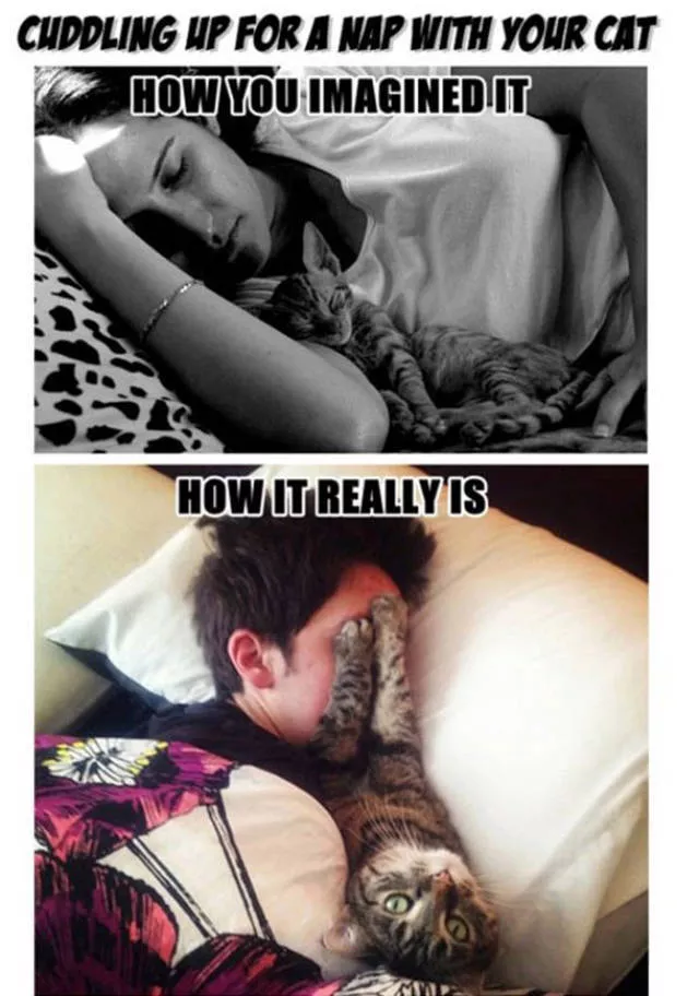 Expectations vs reality - #38 