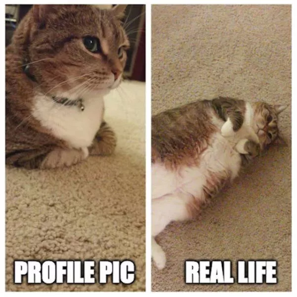 Expectations vs reality - #8 