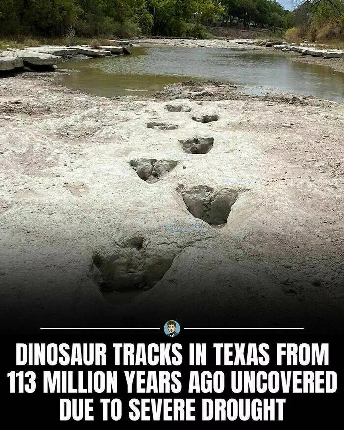 Intriguing historical facts to ignite your curiosity - #18 