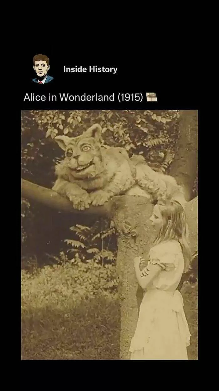 Faits historiques fascinants qui eveilleront votre curiosite - #35 