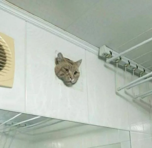 Picdump 854 - #16 