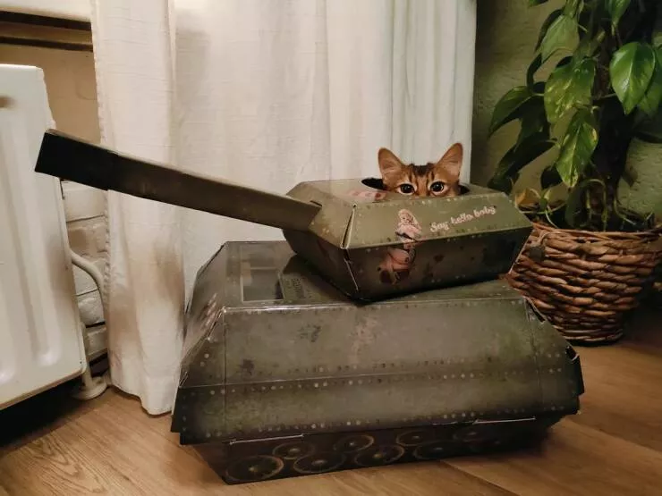 Picdump 854 - #20 