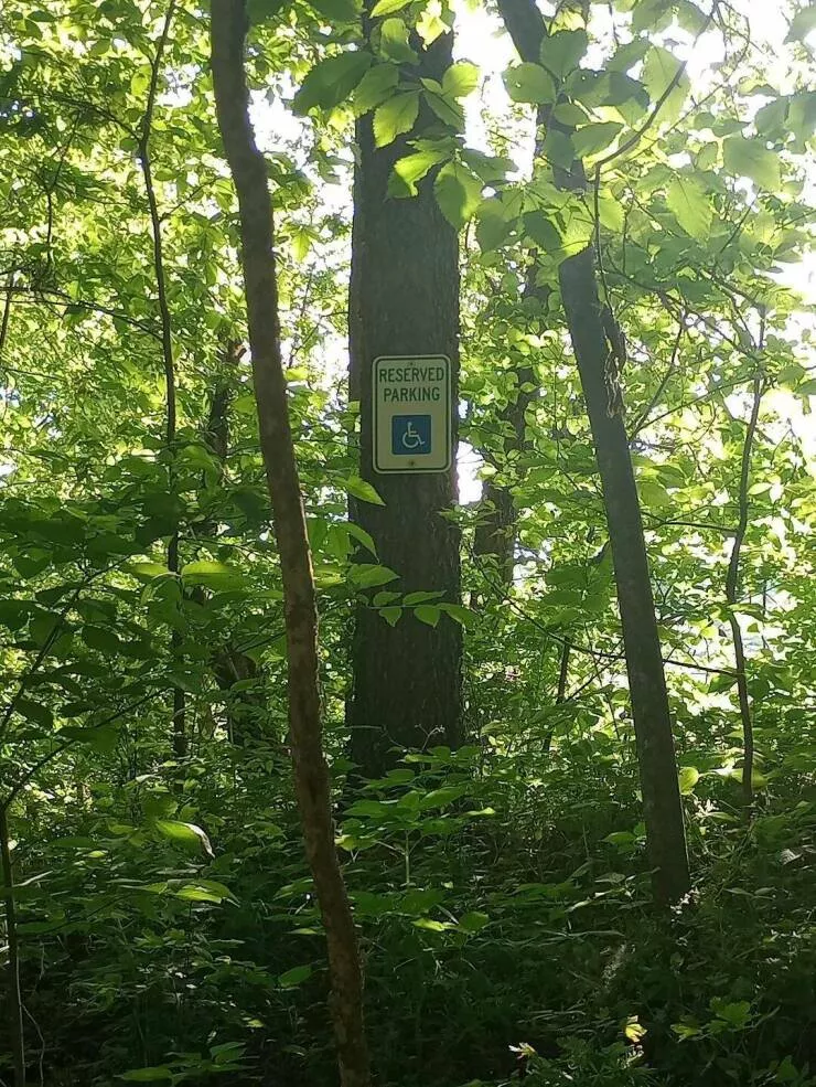 Picdump 854 - #54 