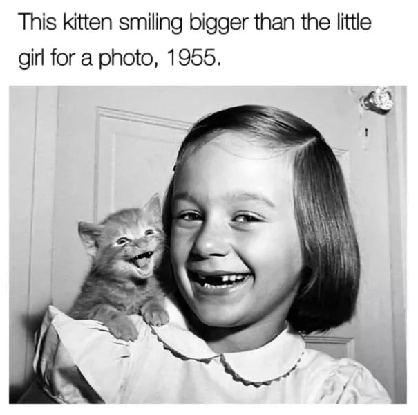 A burst of joyful wholesomeness heartwarming moments