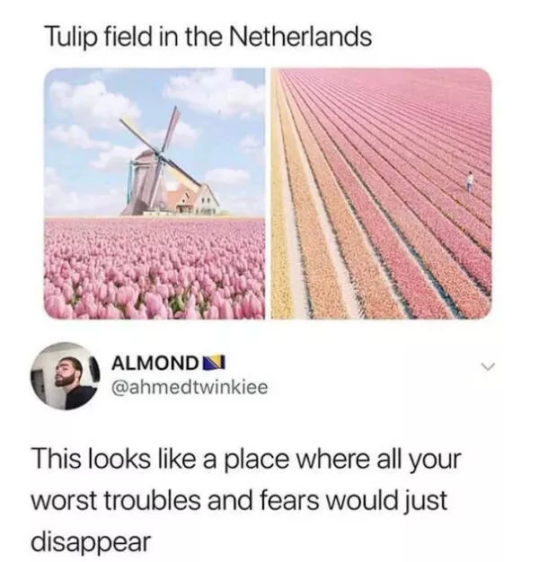 A burst of joyful wholesomeness heartwarming moments - #20 