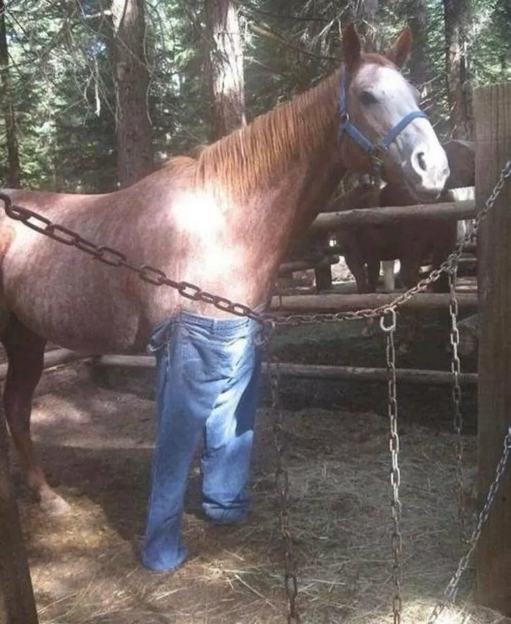 Picdump 855 - #16 