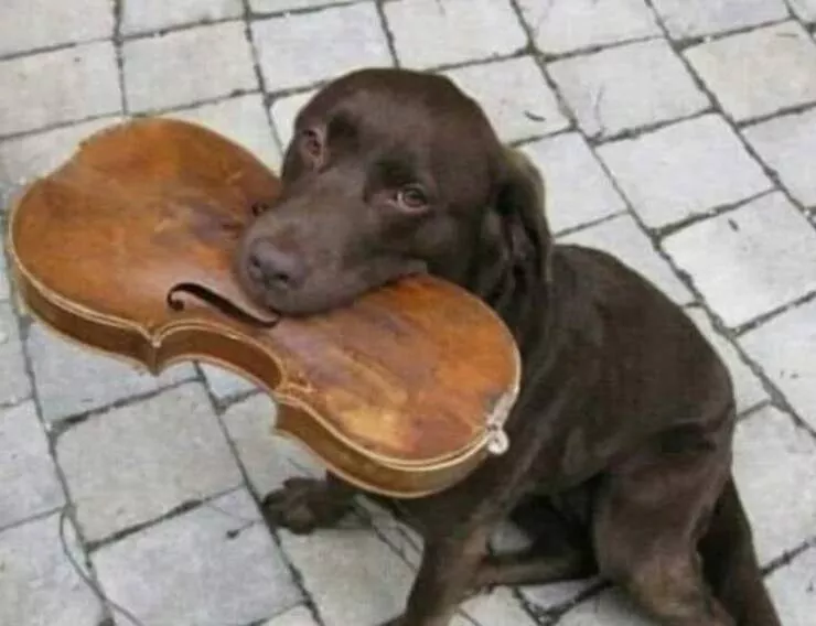 Picdump 855 - #25 