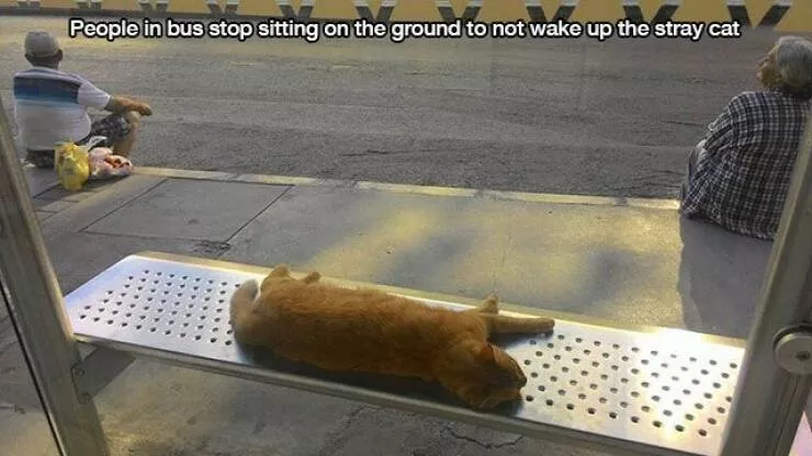Picdump 856 - #10 