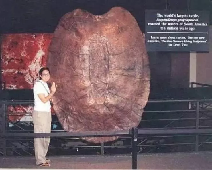 Picdump 856 - #21 