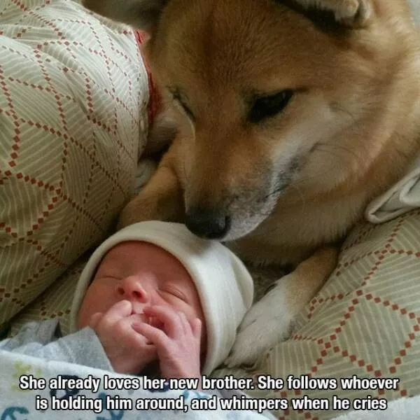 Picdump 856 - #22 