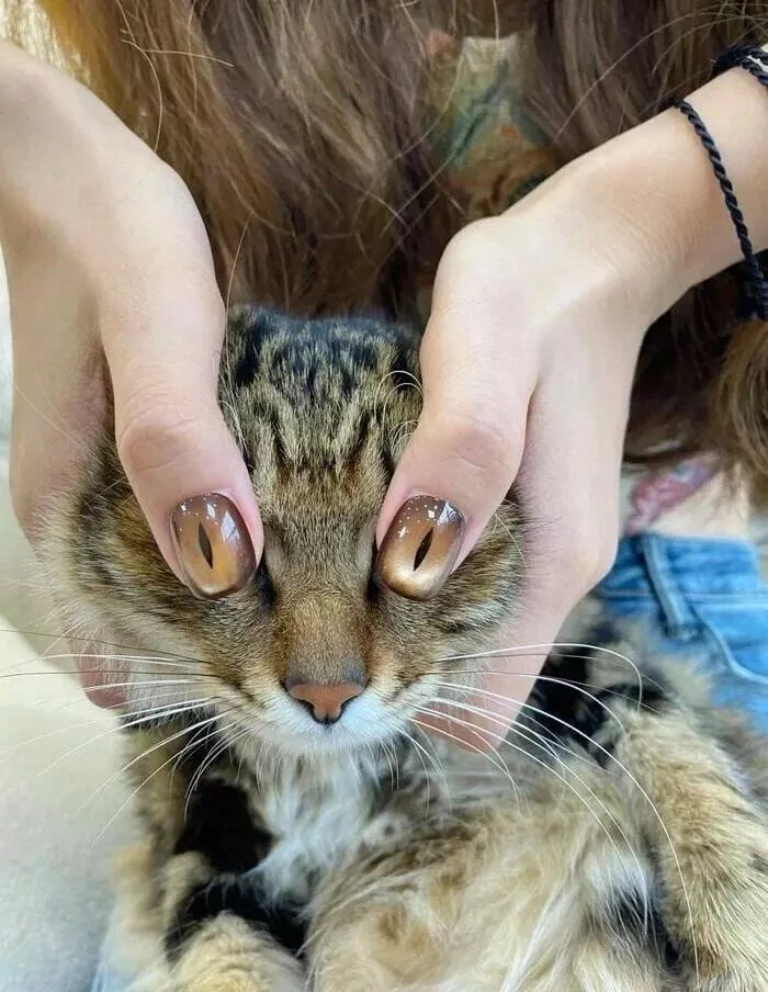 Picdump 856 - #9 
