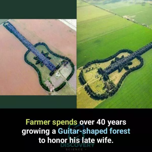 Amazing true facts about random things - #10 