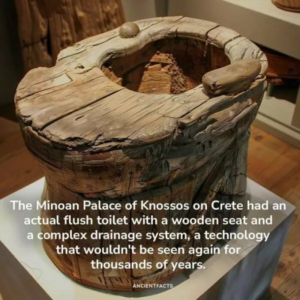 Amazing true facts about random things - #12 