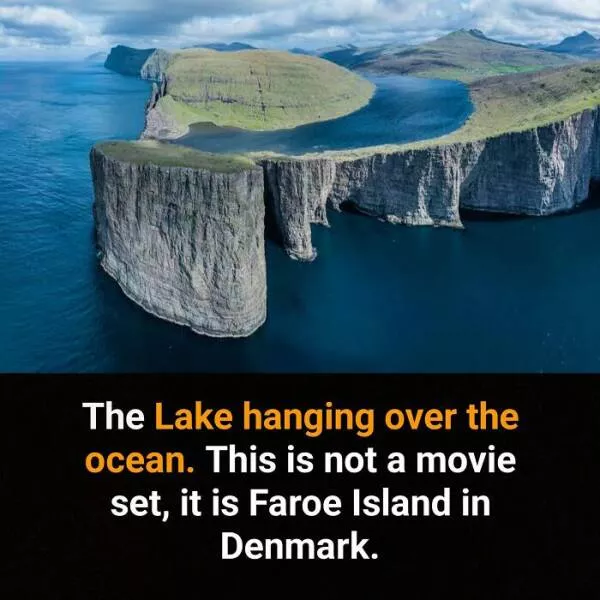 Amazing true facts about random things - #14 
