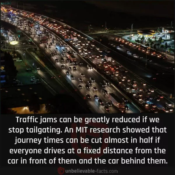 Amazing true facts about random things - #16 