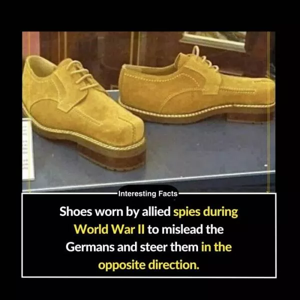 Amazing true facts about random things - #22 