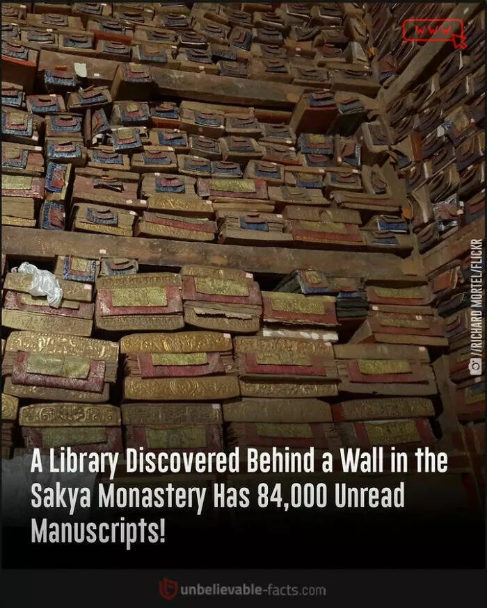 Amazing true facts about random things - #25 