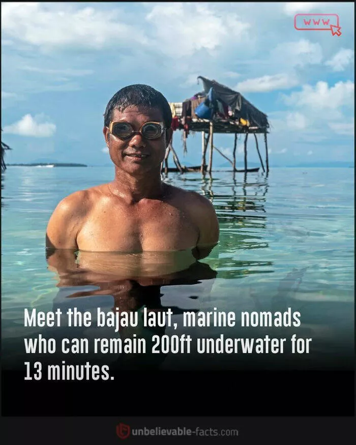 Amazing true facts about random things - #27 