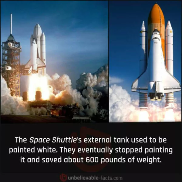 Amazing true facts about random things - #29 