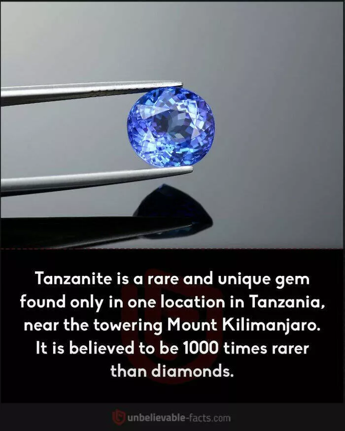 Amazing true facts about random things - #30 