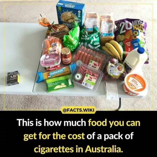 Amazing true facts about random things - #31 