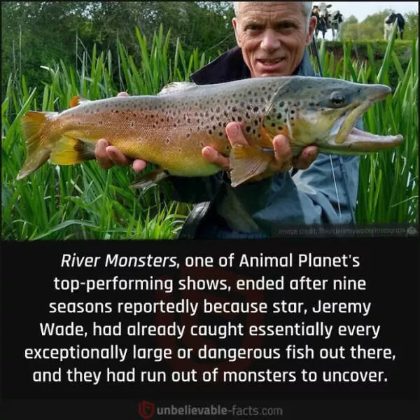 Amazing true facts about random things - #32 