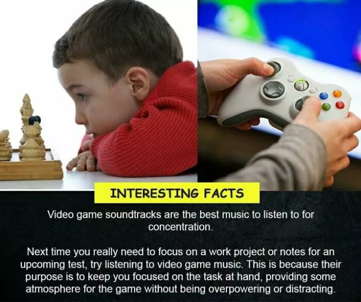 Amazing true facts about random things - #35 