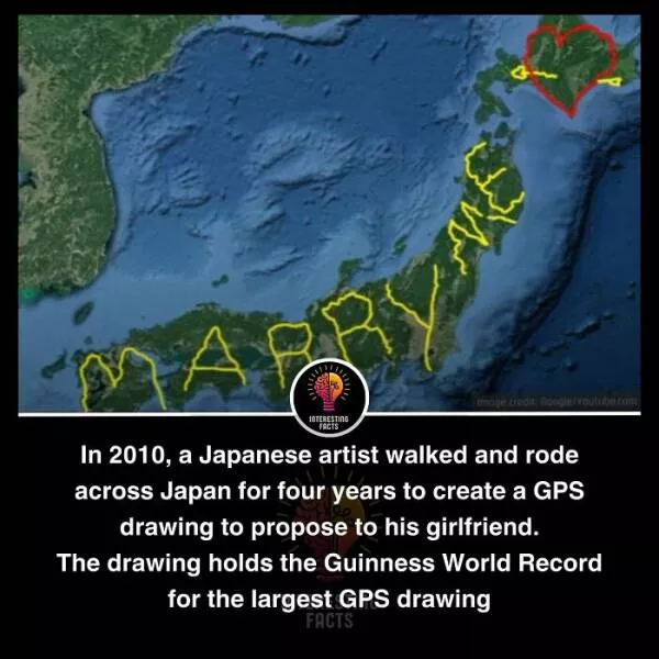 Amazing true facts about random things