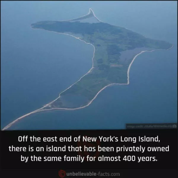 Amazing true facts about random things