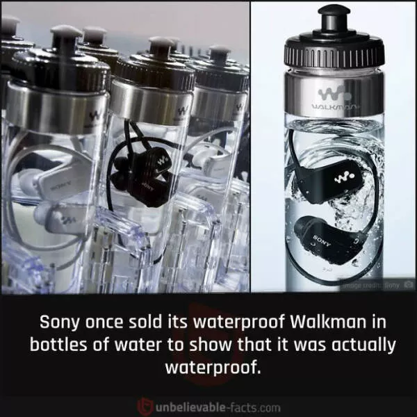 Amazing true facts about random things Amazing true facts about random things