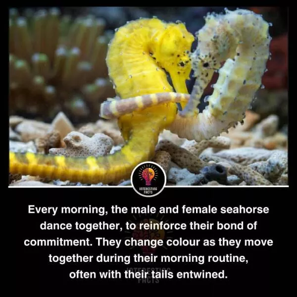Amazing true facts about random things - #7 