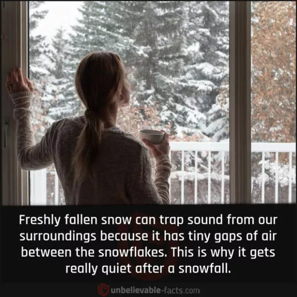Amazing true facts about random things - #9 