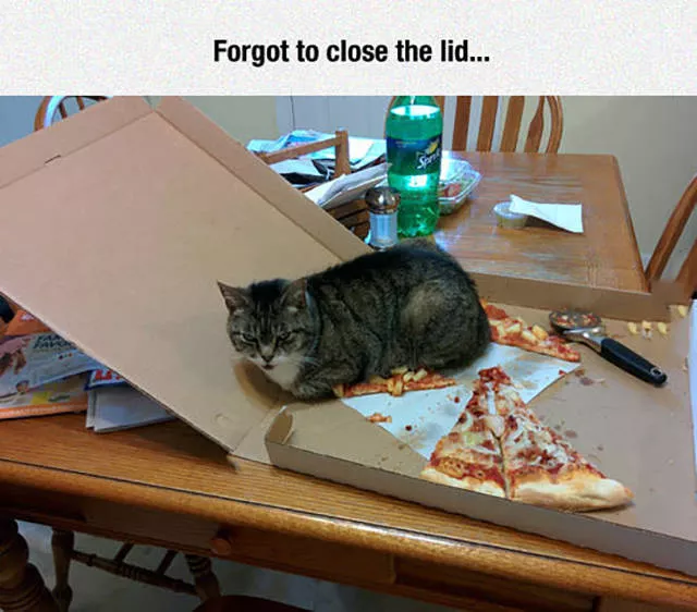 Picdump 111 - #34 