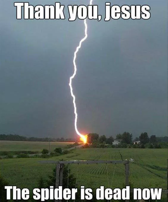 Picdump 111 - #37 