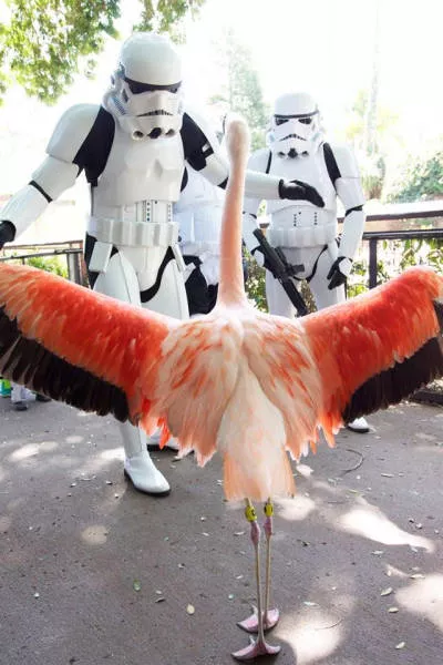 Picdump 111 - #5 